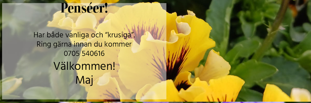 Fourth slide